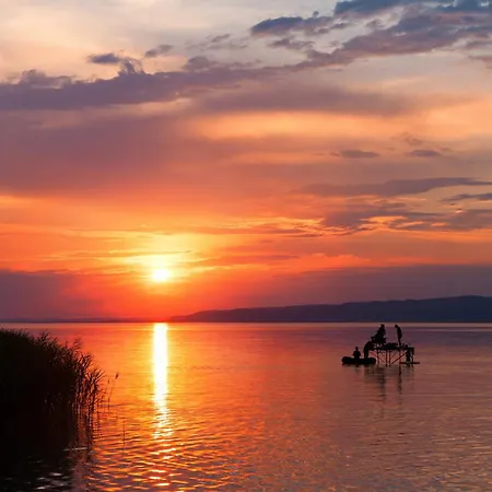 In - Balaton 18466 * バラトンフェニヴェシュ