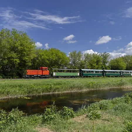 In - Balaton 18466 別荘 バラトンフェニヴェシュ