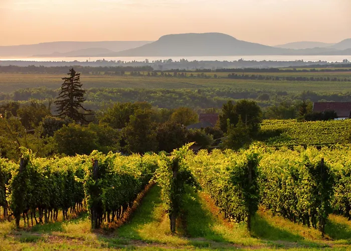 In - Balaton 18466 バラトンフェニヴェシュ