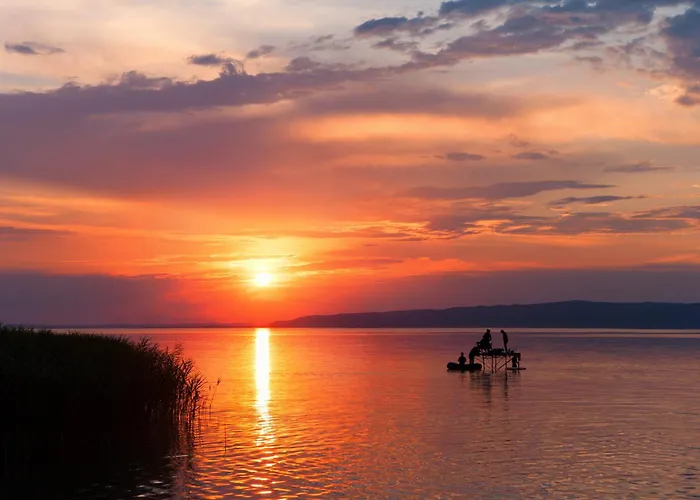 In - Balaton 18466 * 발라톤페니베스