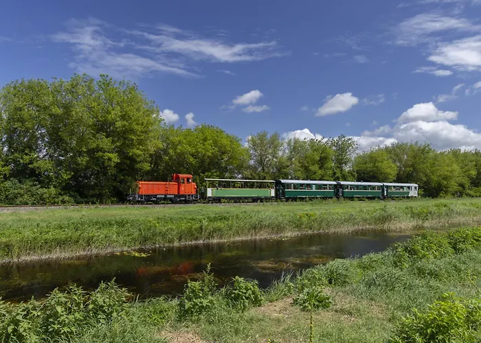 In - Balaton 18466 別荘 バラトンフェニヴェシュ
